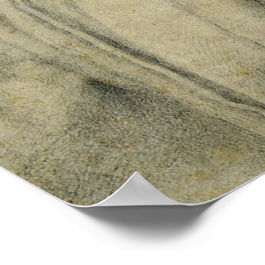 Poster Andrea Quaratesi Portrait de Michelangelo (Coin)