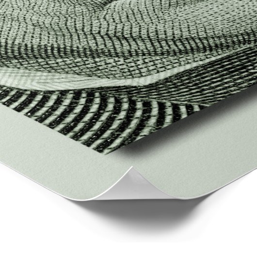 Poster Andrew Jackson (Coin)