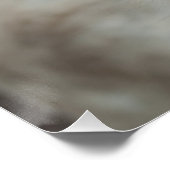 Poster Âne baroque blanc (Coin)