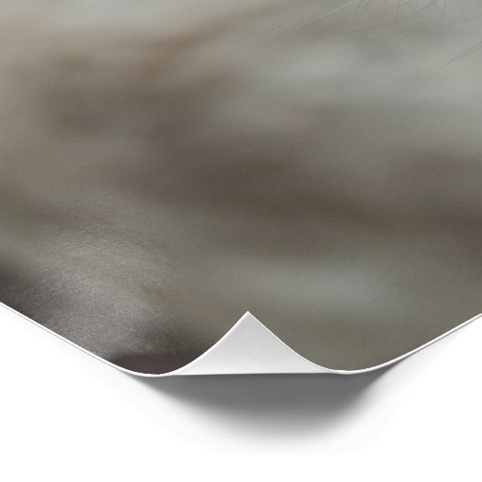 Poster Âne baroque blanc (Coin)