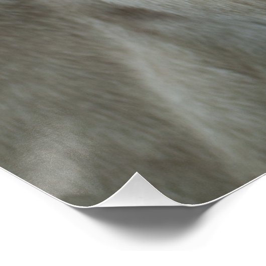 Poster Âne baroque blanc (Coin)