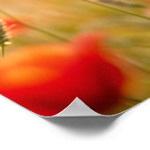 Poster Âne de campagne yeux curieux art paisible (Coin)