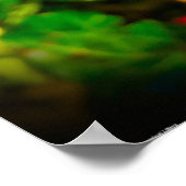 Poster Anémone, (Coin)