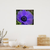 Poster Anémone, (Cuisine)