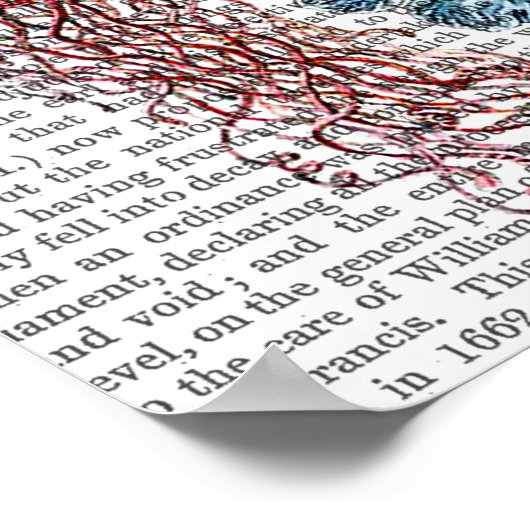 Poster Anémone de mer (Coin)