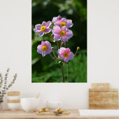 Poster Anemone Japonaise fleurit rose dans le jardin, gro (Cuisine)