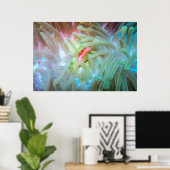 Poster Anémone multicolore (Bureau à domicile)