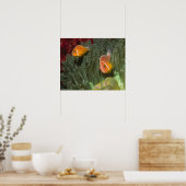 Poster Anémone rose dans l'anémone marine magnificante (Cuisine)