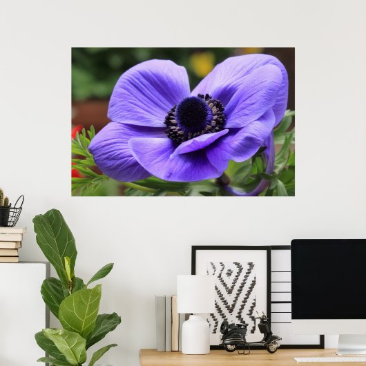 Poster Anémone violette (Bureau à domicile)