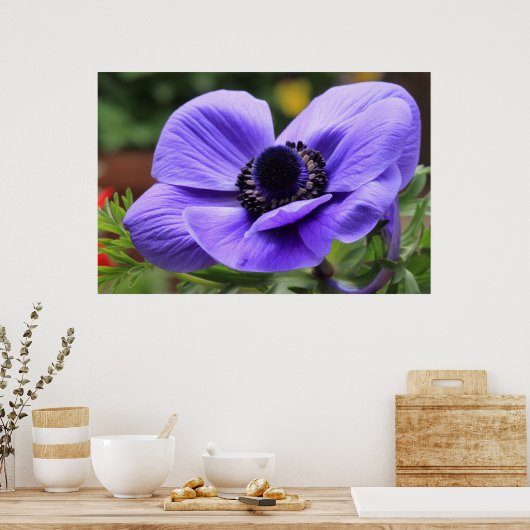 Poster Anémone violette (Cuisine)