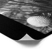 Poster Anémones (Coin)