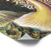 Poster Anémones de mer, Actiniae Seeanemonen Ernst Haecke (Coin)