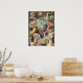 Poster Anémones de mer, Actiniae Seeanemonen Ernst Haecke (Cuisine)