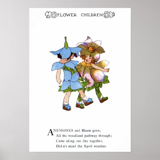 Poster Anémones et Bluets (Devant)