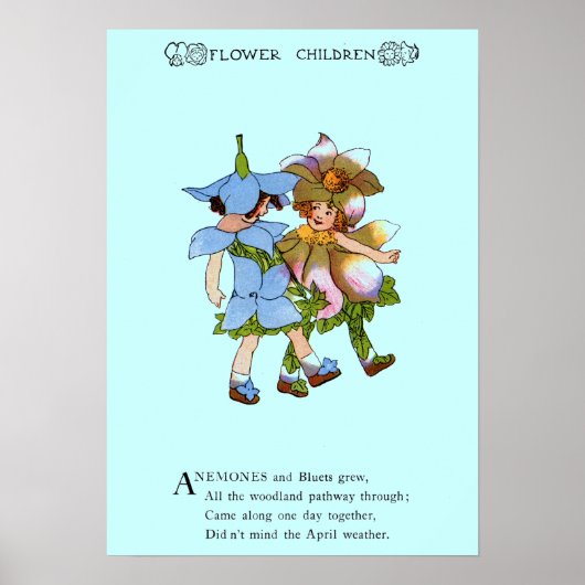 Poster Anémones et Bluets (Devant)