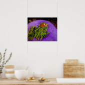 Poster Anémonèse et grand anémone (Cuisine)