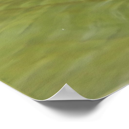 Poster Anenomefish (Coin)