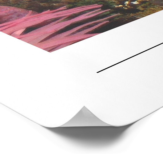 Poster Anénomes (Coin)