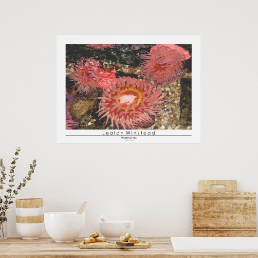 Poster Anénomes (Cuisine)