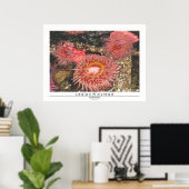 Poster Anénomes (Bureau à domicile)