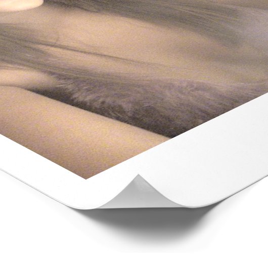 Poster ange de nuit (Coin)