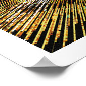 Poster Ange des oreilles ailées d'Afrique (Coin)