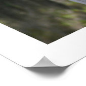 Poster Angel 16x20 de Cynthia (Coin)