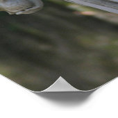 Poster Angel 16x20 de Cynthia (Coin)