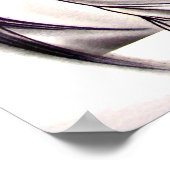 Poster Angel du Ballet Nutcracker (Coin)