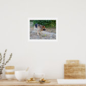 Poster Angel et balle (Cuisine)