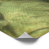 Poster Angel et textures (Coin)