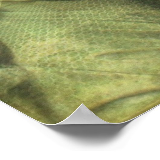 Poster Angel et textures (Coin)