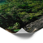 Poster Angel Falls (Coin)