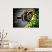 Poster Angel grumeux ensoleillé et froid Chat par djoneil (Cuisine)