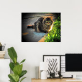 Poster Angel grumeux ensoleillé et froid Chat par djoneil (Bureau à domicile)
