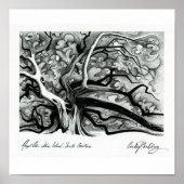 Poster Angel Oak (Devant)