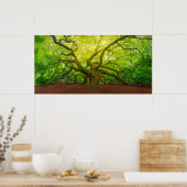 Poster Angel Oak (Cuisine)