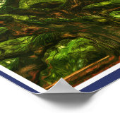 POSTER ANGEL OAK - CHARLESTON SOUTH CAROLINA US (Coin)