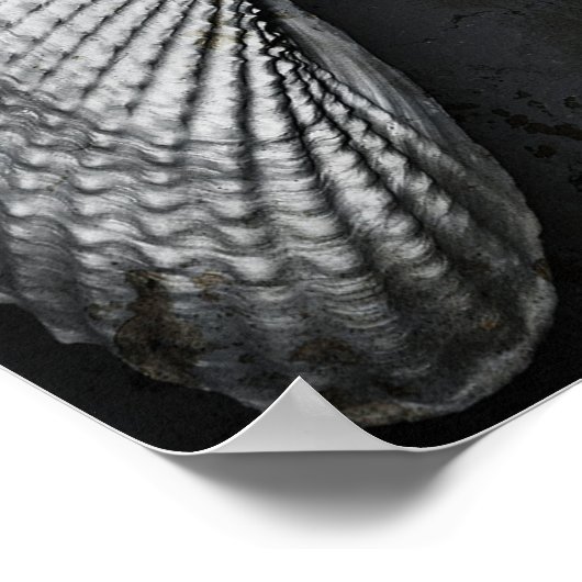 Poster Angel Wings BW (Coin)