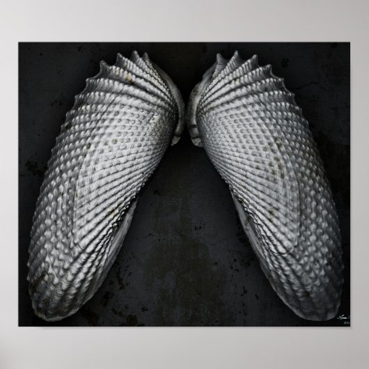 Poster Angel Wings BW (Devant)