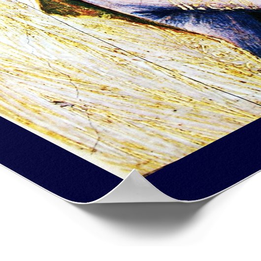 POSTER ANGÉLE DE LA NACITÉ (Coin)