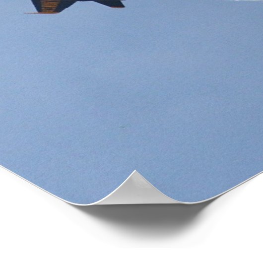 Poster Angels bleus FA-18 (Coin)