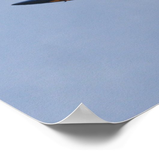 Poster Angels bleus FA-18 (Coin)