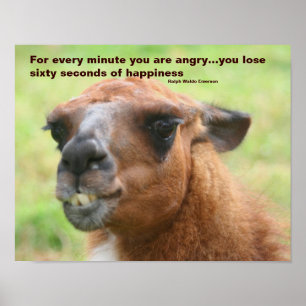 Poster Anger Happiness Quote Llama Inspirational