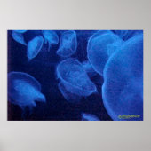 Poster Anges de lumière (Devant)