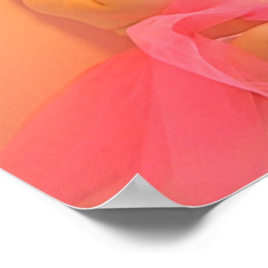 Poster Anges du ciel (Coin)