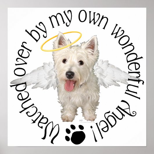 Poster Anges gardiens Westie (Devant)