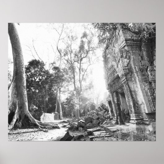 Poster Angkor Cambodge, Détails Ta Prohm (Devant)