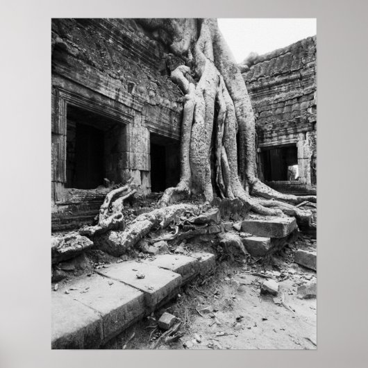Poster Angkor Cambodia, Ta Prohm Tree (Devant)