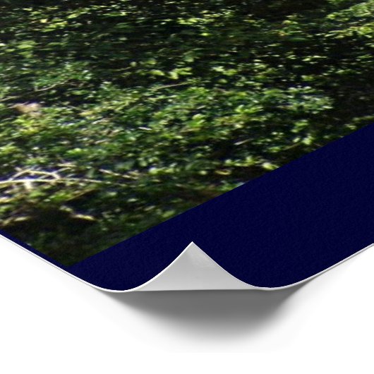 Poster Angkor Wat (Coin)